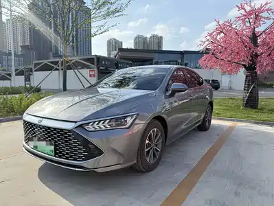 BYD Qin PLUS 2024