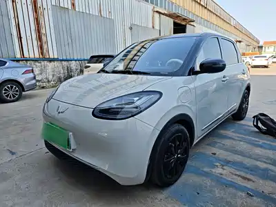 Wuling Motors Bingo 2024
