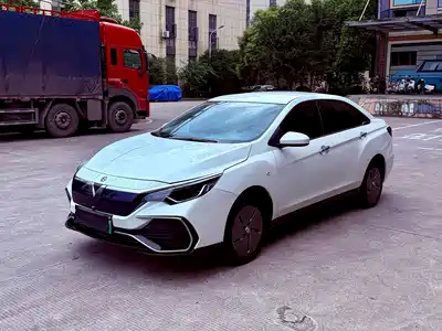 Venucia D60EV 2023