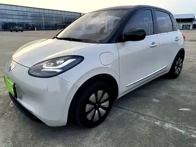 Wuling Motors Bingo 2024