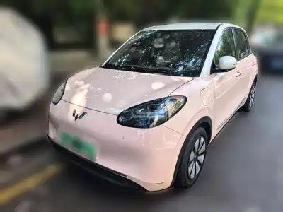 Wuling Motors Bingo 2024