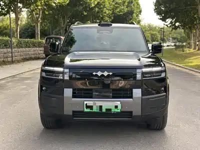 Fang Cheng Bao Titanium 7 2026