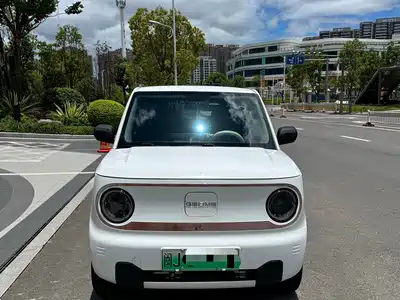 Geely Galaxy Panda 2023