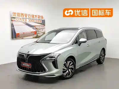 Dongfeng Fengxing Yacht 2022