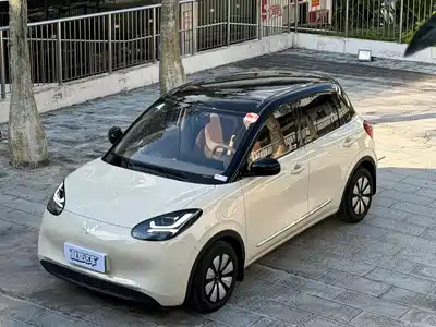 Wuling Motors Bingo 2024