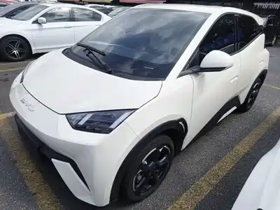 BYD Seagull 2024