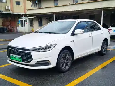 BYD Qin New Energy 2020