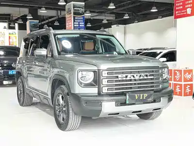 Haval Meng Long NEV 2024