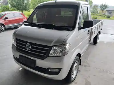 Dongfeng Xiaokang DFSK C31 2024