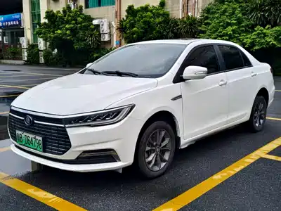 BYD Qin New Energy 2020