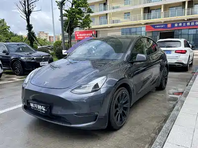 Tesla Model Y 2021