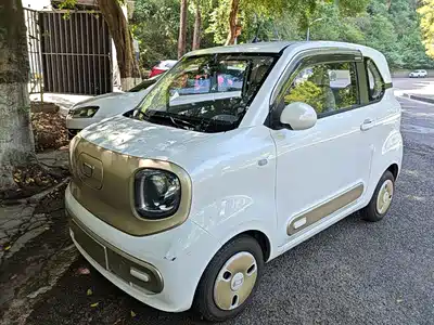 Besturn Pony 2024