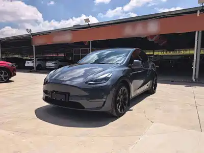 Tesla Model Y 2021