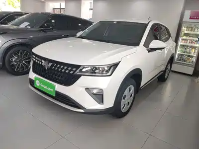 Wuling Motors Xingchi 2024