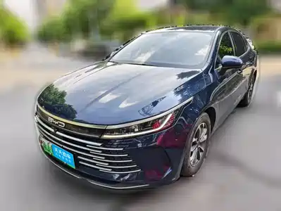 BYD Destroyer 05 2024