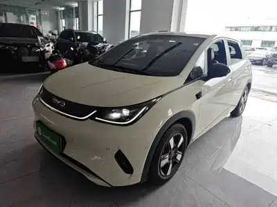 BYD Dolphin 2025