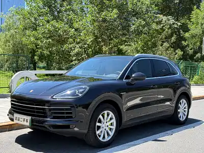 Porsche Cayenne New Energy 2019