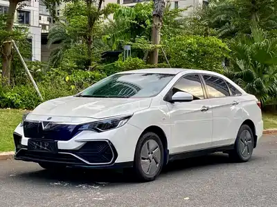 Venucia D60EV 2022