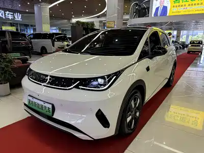 BYD Dolphin 2025