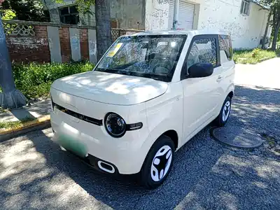 Geely Galaxy Panda 2026
