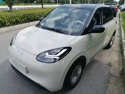 Wuling Motors Bingo 2024