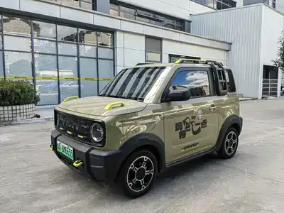 Geely Galaxy Panda 2025