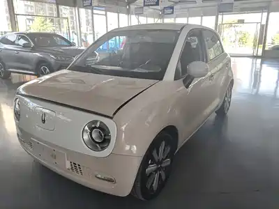 Ora Black Cat 2021