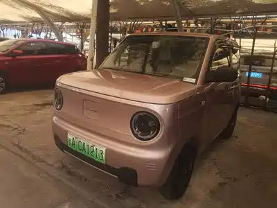 Geely Galaxy Panda 2023