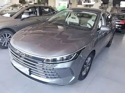 BYD Destroyer 05 2024