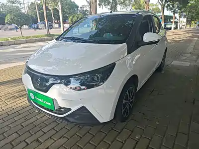 JMCG New Energy Little Kirin 2025