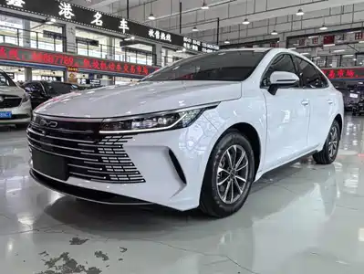 BYD Destroyer 05 2024