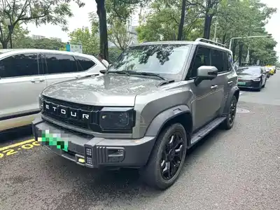 Jetour Shanhai T2 2024