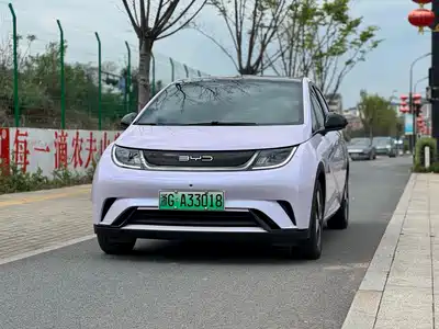 BYD Dolphin 2023
