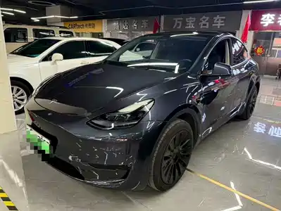 Tesla Model Y 2024
