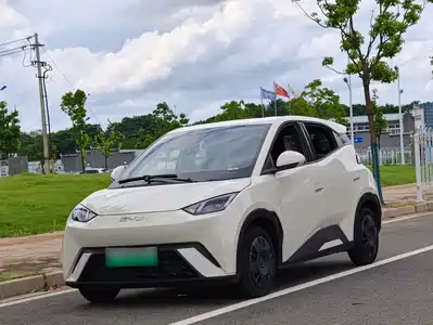 BYD Seagull 2024