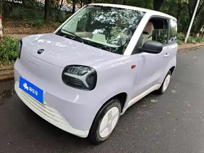 Zhido Rainbow 2025