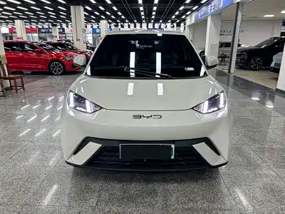 BYD Seagull 2023