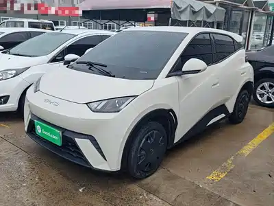 BYD Seagull 2024