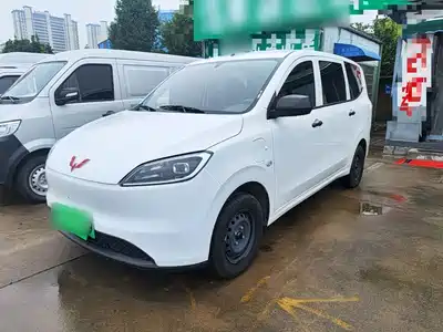 Wuling Motors Hongguang New Energy 2025