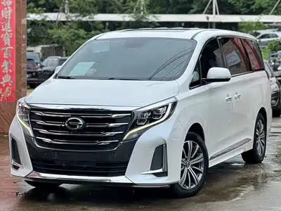 GAC Trumpchi M8 2020