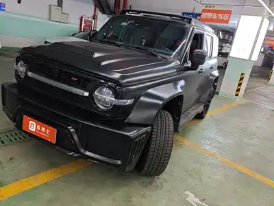 Crossboundary Auto Co-created Tank 300 2023