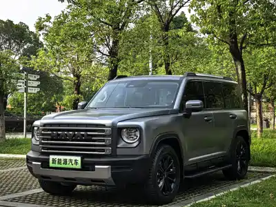 Haval Meng Long NEV 2024