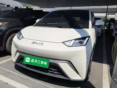 BYD Seagull 2024