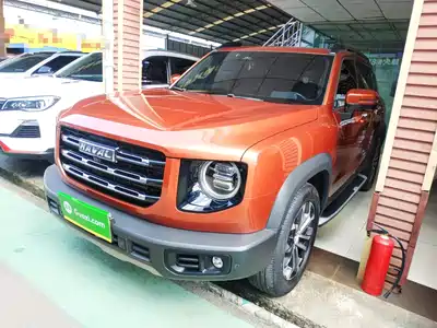 Haval Big Dog 2022