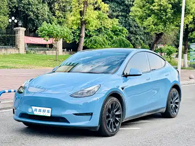 Tesla Model Y 2021