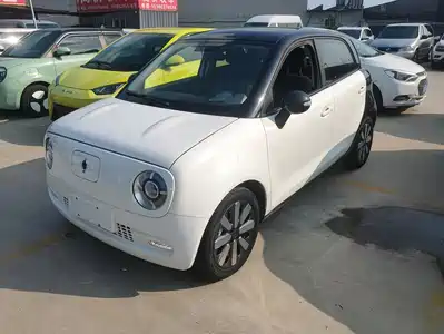 Ora Black Cat 2021