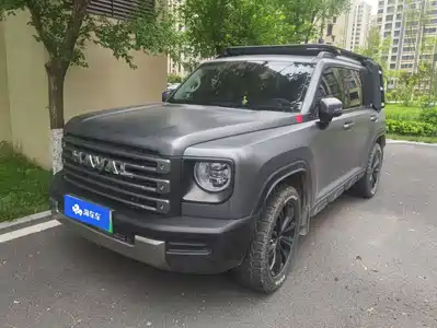 Haval Meng Long NEV 2025