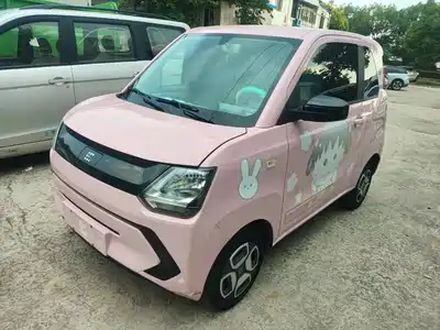 Dongfeng Fengguang MINIEV 2022