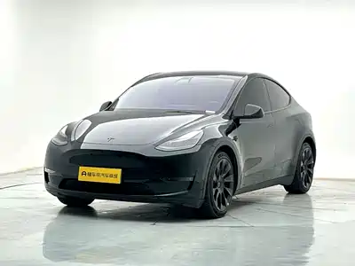 Tesla Model Y 2021