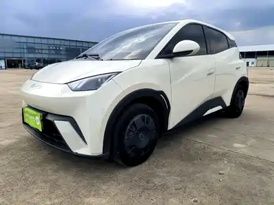 BYD Seagull 2024